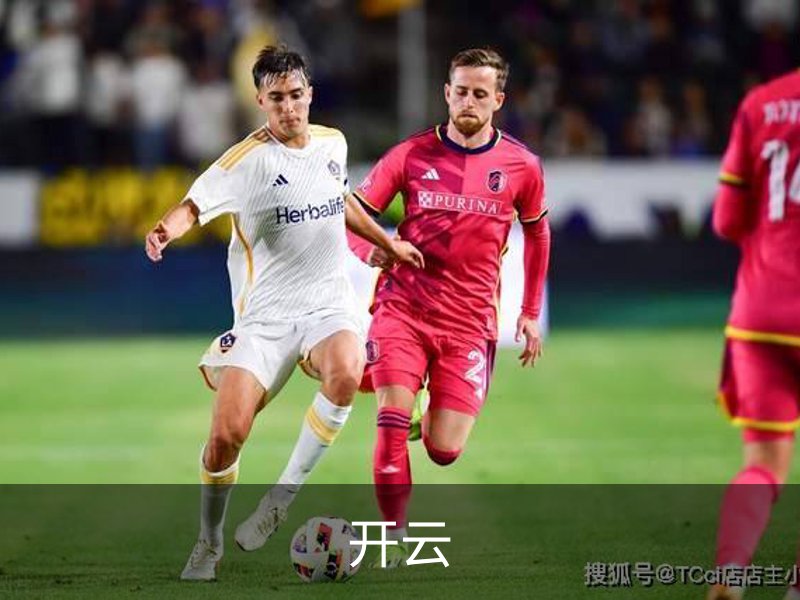 开云简介