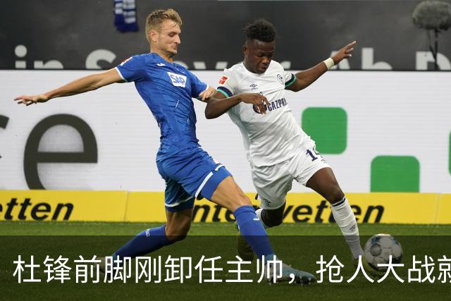 杜锋前脚刚卸任主帅，抢人大战就开始了，广东锁定米切尔，北控与新疆同时也在争抢